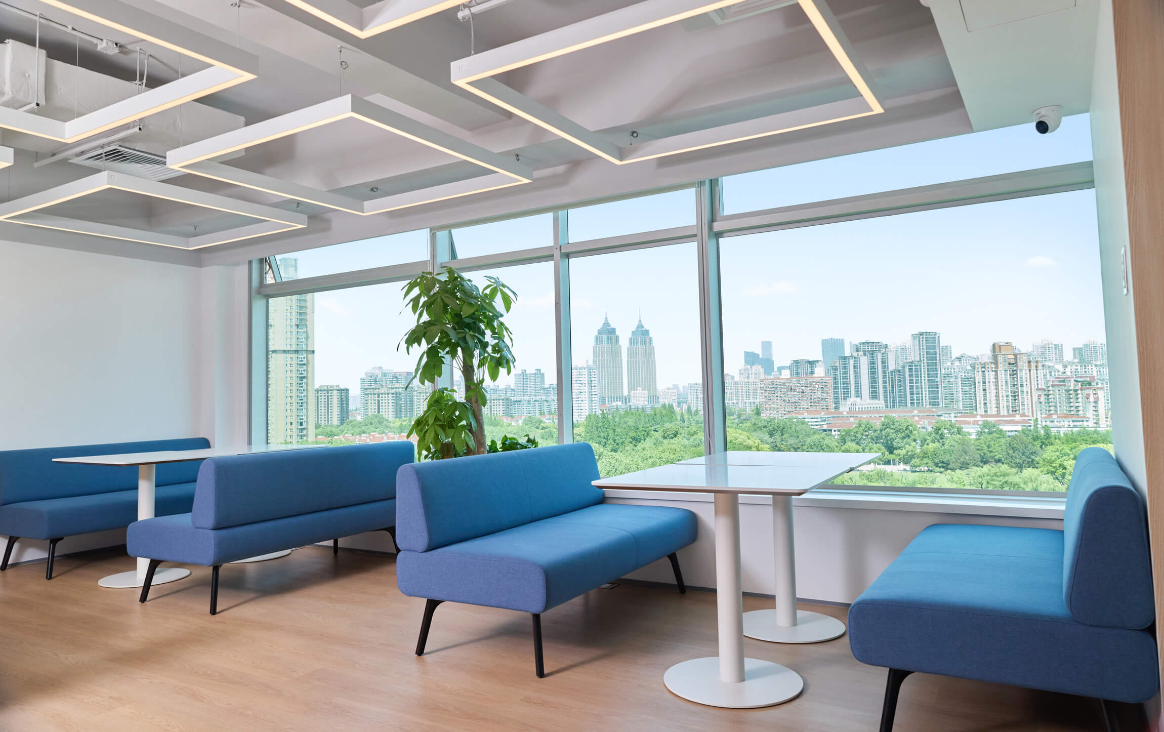 辦公室照(zhào)片4